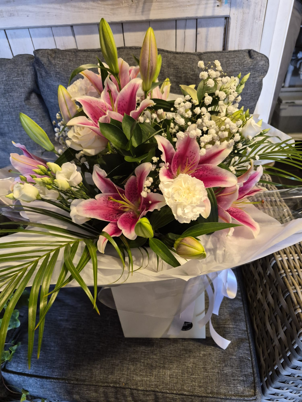 Stargazer Product Image