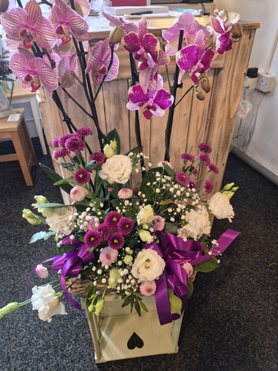 Orchid Elegance - A stunning basket arrangement in purple, pink and white, designed to leave a lasting impression.